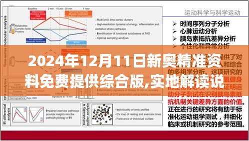 2024新奥资料免费精准资料-精选解释解析落实