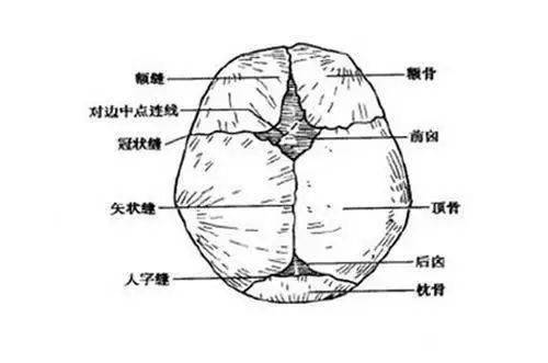 宝宝九个月囟门闭合了，发育过程中的里程碑