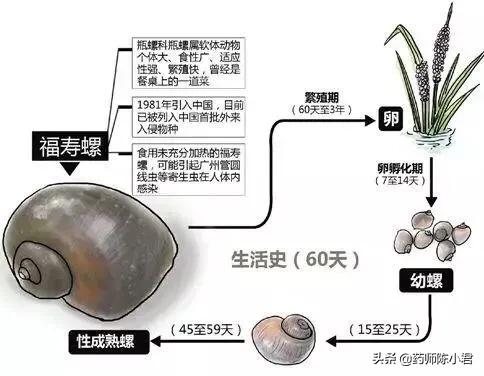 广东省妇幼保健院，关于流产的专业关怀与医疗支持