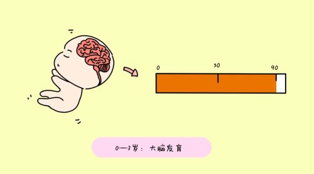 关于一个特殊的成长阶段，一个19个月大的宝宝的成长故事