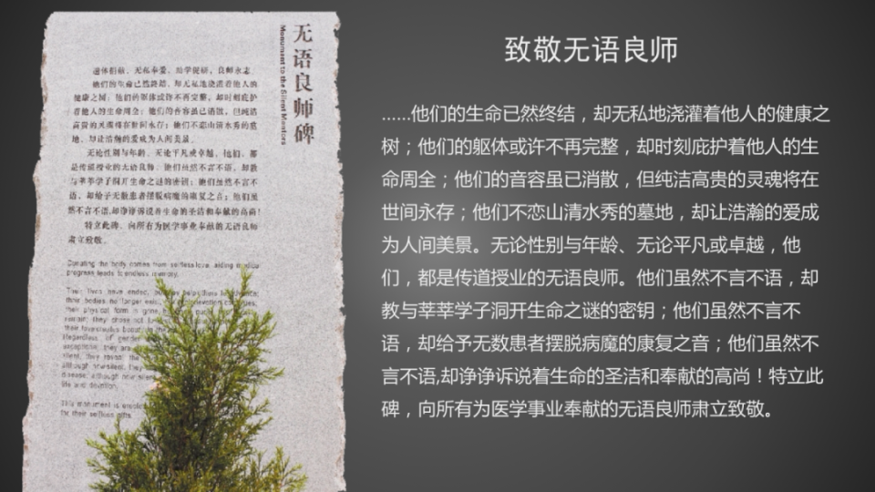 江苏科技大学讣告，缅怀逝去的生命，传递深深的哀思与敬意